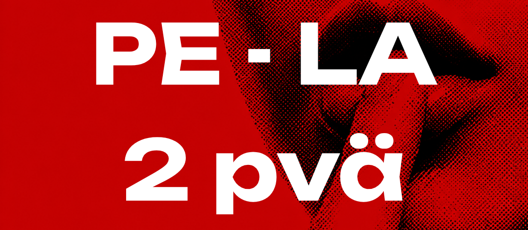 Kink for Curious 2 päivää